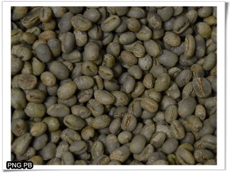 圓石生豆
